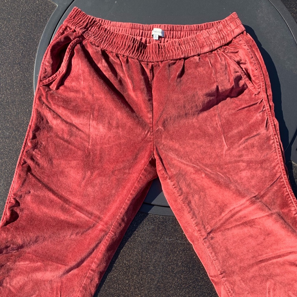 NWOT Beautiful Madewell Velvet Track Pants - Picture 3 of 8